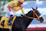 caballo-web.jpg