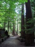 DSC01978.JPG