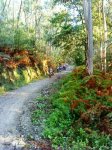 DSC03571.JPG