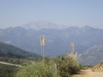 DSC02629.JPG