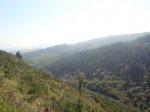 DSC02630.JPG