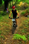 IMG_2877.JPG