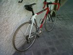 wilier3.jpg