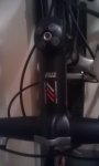 IMAG0382.jpg