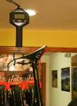 IMG_6151_crop.jpg