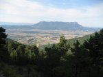 IMG_3817.jpg
