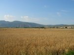 DSCN0928.JPG