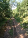 DSCN0932.jpg