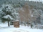 DSCF0056.JPG