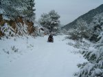 DSCF0064.JPG