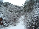 DSCF0091.JPG