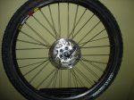 DSC02493.JPG