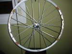 DSC02475.JPG