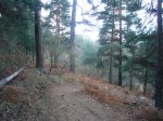 P1510078 (3)_redimensionar.JPG
