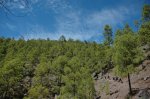 DSC_9663.JPG