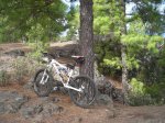 DSCN7218.JPG