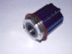 DSCN1311.JPG