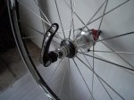 DSCN1310.JPG