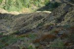 DSC_9713.JPG