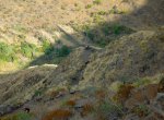 DSC_9716.JPG