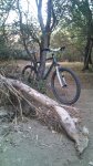 DSC00046.JPG