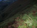 P1060391_800x600.jpg