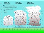 2tormenta.jpg