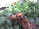 2011-09-29 11.45.54.jpg