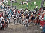 20080505dasdaicic_1[1].jpg
