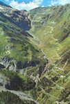 stelvio1.jpg