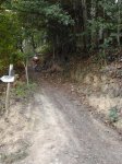 2011-09-30 17.46.56_450x600.jpg
