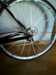 mavic 002.JPG