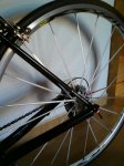 mavic 004.JPG