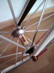 mavic 006.JPG