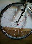 mavic 007.JPG