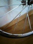 mavic 008.JPG