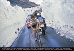 menrr-stelvio.jpg