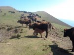 2011-10-01 13.22.06_800x600.jpg