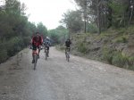 SDC12082.JPG
