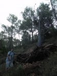 DSCN7045.JPG