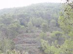 DSCN7087.JPG