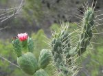 DSCN7086.JPG