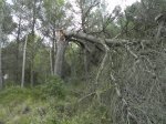 DSCN7138.JPG