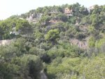 DSCN7162.JPG