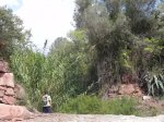 DSCN7167.JPG