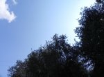 DSCN7176.JPG