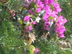 DSCN7186.JPG