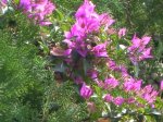 DSCN7187.JPG