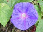 DSCN7192.JPG