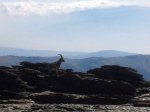2011-10-01 12.16.26.jpg